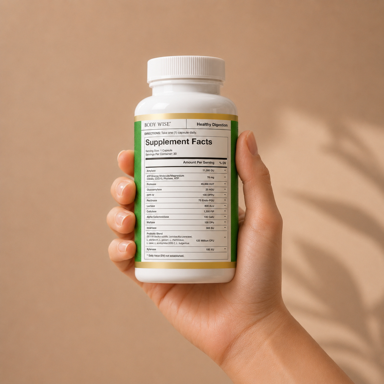 Digest by Body Wise