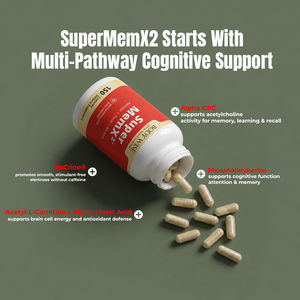 Super MemX2 ingredient infographic