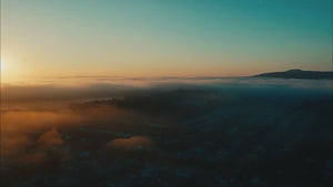 Right Choice AM + PM (Member)